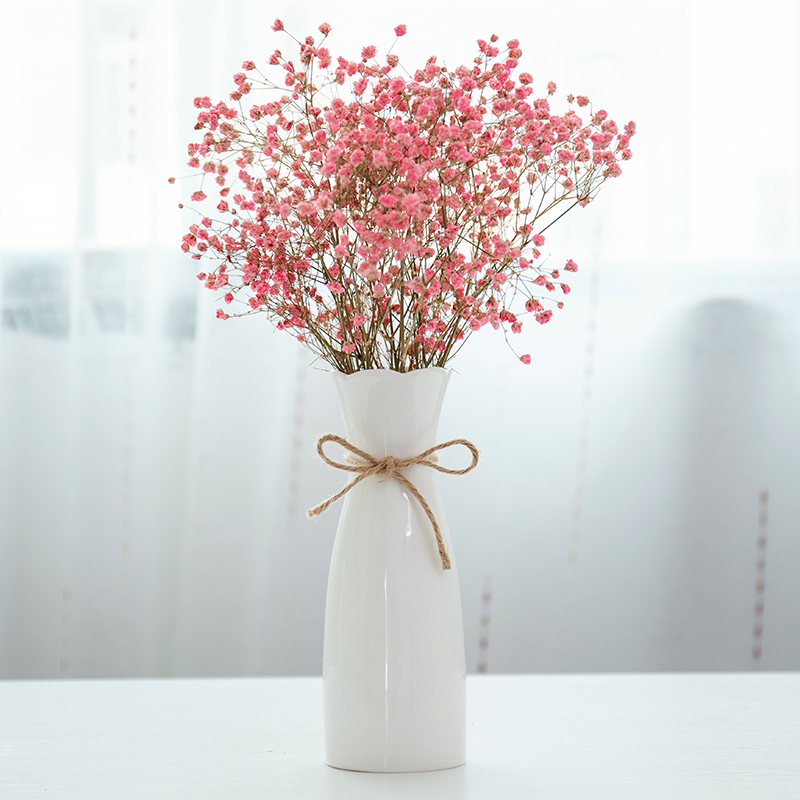 ins北欧干花小客厅陶瓷