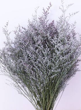 乾燥花花束家居摆设客厅卧室云南情人草水晶草插花乾燥花论斤卖50
