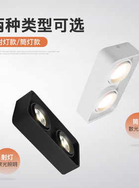 铝质双头防眩光吸顶射灯 超薄方形可调角度家用客厅无主灯设计