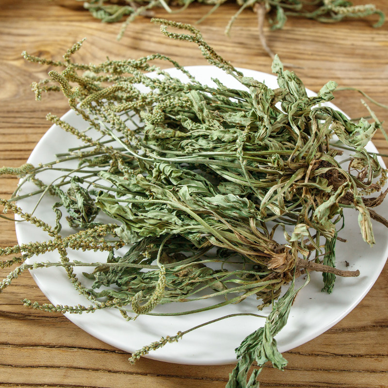 2023年野生新鲜车前草中药材纯天然整颗全草带穗干货袋泡茶猫爪草