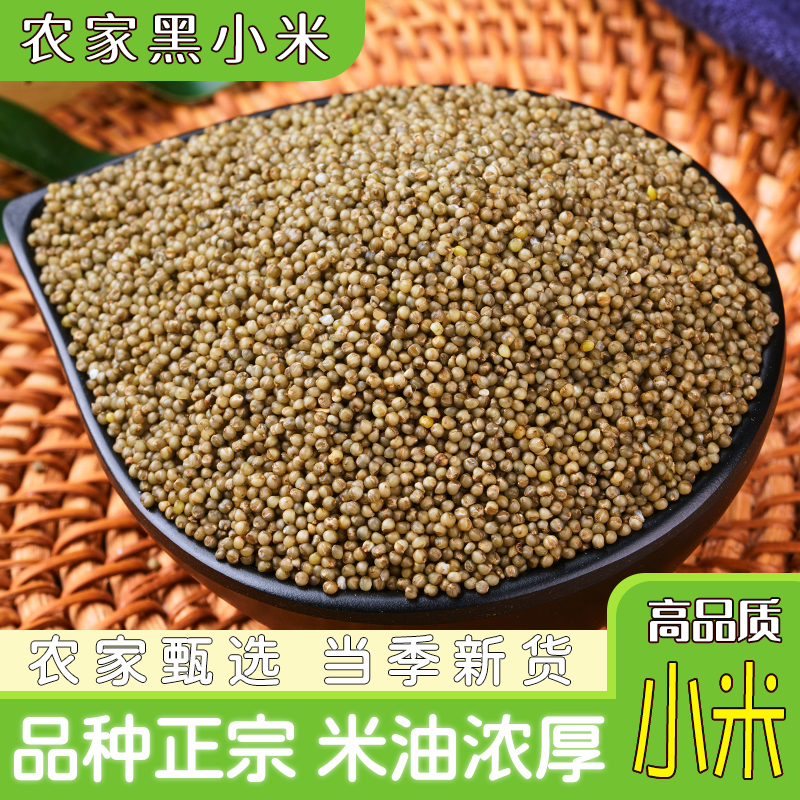 新黑小米5斤 陕北特产农家自种米脂黑谷月子米米油小米粥五谷杂粮,粮油调味/速食/干货/烘焙,小米,淘宝优惠券,粉丝福利购,淘宝优惠卷