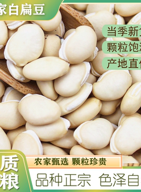 新货白扁豆500g 云南农家自产优质白扁豆子 食用五谷杂粮粗粮