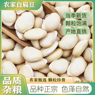 新货白扁豆500g 云南农家自产优质白扁豆子 食用五谷杂粮粗粮