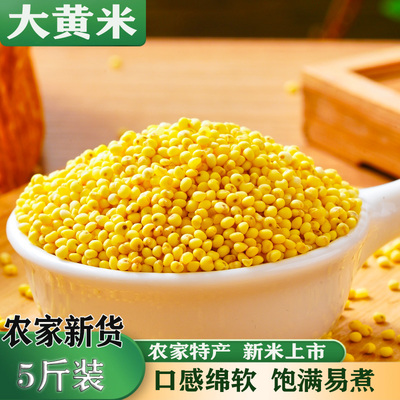 正宗东北大黄米新米5斤粘糯包粽