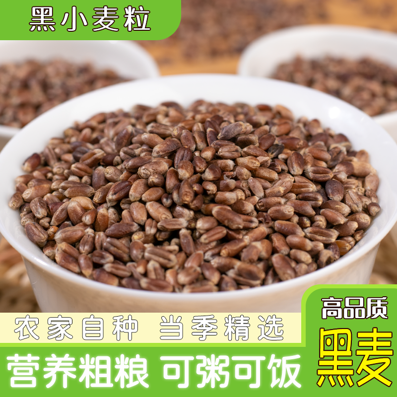 新黑小麦粒5斤 农家富硒黑麦粒带皮小麦米颗粒食用五谷杂粮全麦粉