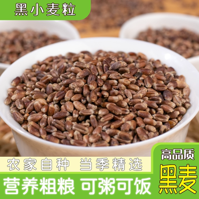 小麦粒农家带皮全麦食用五谷杂粮