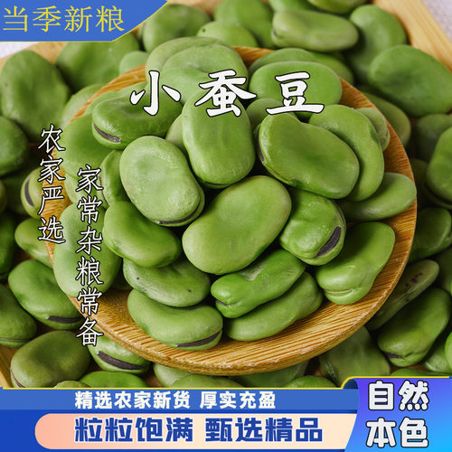 小蚕豆农家新货当年新小蚕豆干精选家用焖饭软糯易煮煲汤煮粥
