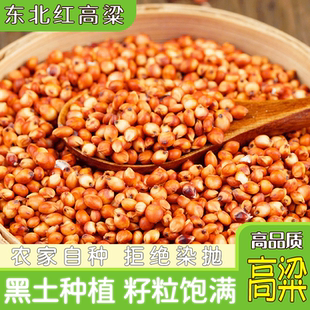 新带皮红高粱农家自产带壳酿酒喂鸽子鹦鹉磨面杂粮粗粮5斤