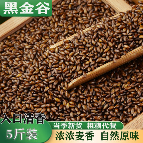黑金谷5斤五谷杂粮秦岭血燕麦