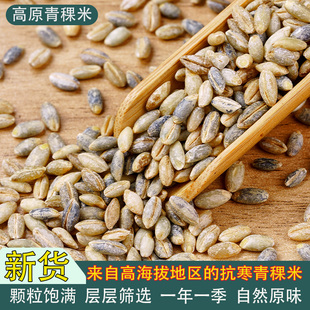 2025青稞米新米青海特产5斤大麦粒高原西藏青稞粗粮大麦仁糙米饭