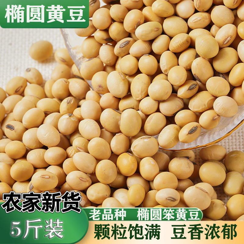 农家自种老品种椭圆黄豆笨黄豆非转基因豆腐打豆浆专用大豆东北