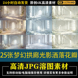 339.25张梦幻拱廊光影洒落花瓣cos特效合成影楼后期修图背景素材