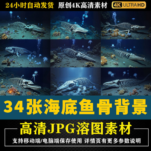 加入会员素材任意下载