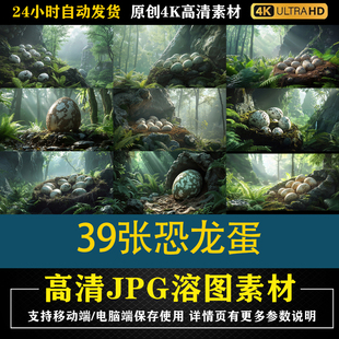 194.39张恐龙蛋森林高清cos特效合成后期修图背景素材PS底图