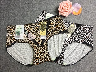 百草艾草档 诗汾娜3252 莫代尔 豹纹蕾丝边 5条 品质女士内裤 包邮