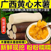 广西黄心木薯蛋黄木薯新鲜当季 粉糯Q弹面包黄肉木薯粗粮热销甜品