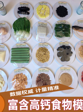 富含高钙食物模型100g20件套