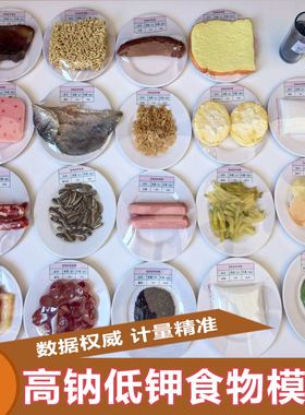 铭翼高钠低钾食物模型100g20件