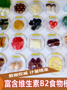 铭翼富含维生素B2食物模型100g