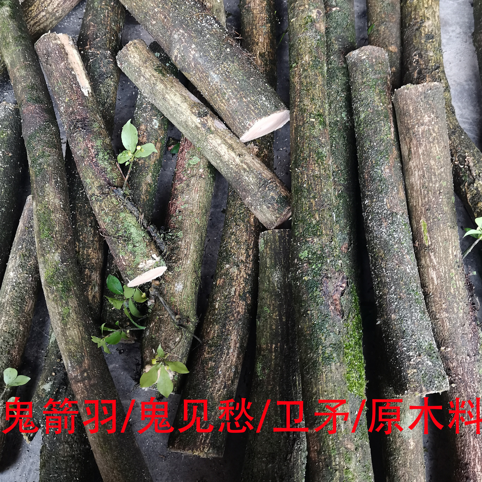 鬼箭羽木料木雕鬼见愁木料手串佛珠手把件卫矛雕刻料车珠子四棱木