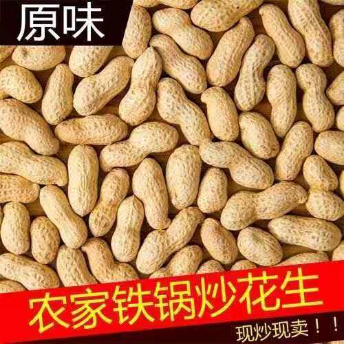 炒花生红皮营养5斤原味带壳