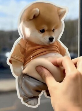 小狗图案3d款立体墙面贴纸捏捏乐可爱创意解压玩具家居柴犬冰箱贴