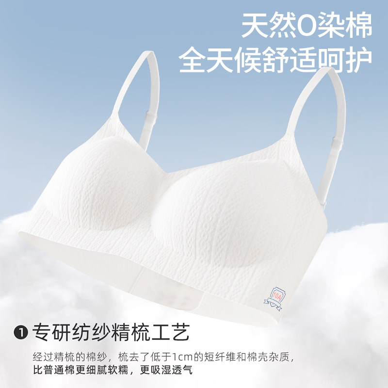 透气A类纯棉无痕聚拢大码文胸图片