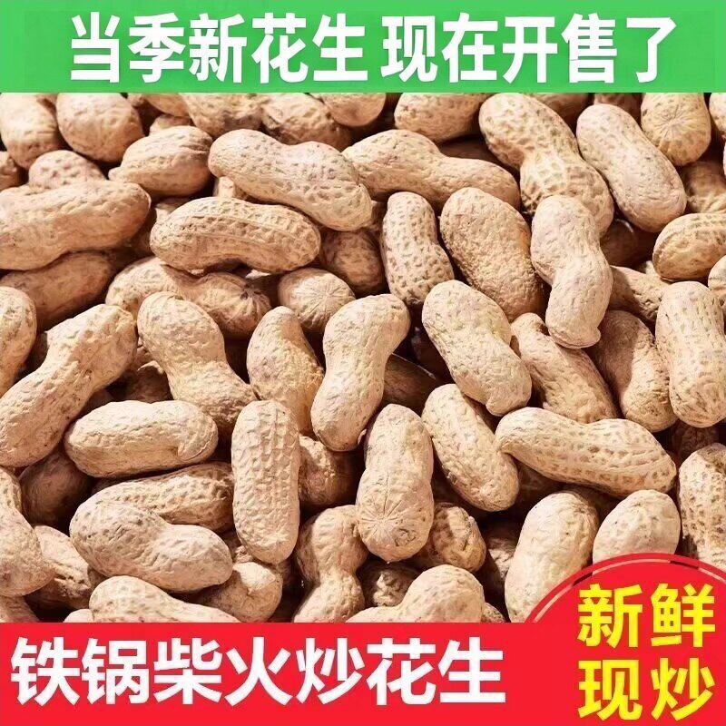 2026新款特产农家柴火铁锅沙炒花生香脆传统炒货原味花生带壳
