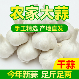 山东农家大蒜5斤新干蒜3斤紫白皮苍山新鲜当季10斤蒜种子瓣大蒜头