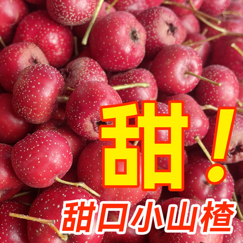 甜山楂！新鲜山楂果红心软糯酸甜