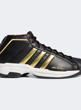 Adidas/阿迪达斯正品20新款Pro Model 2G - CNY男子篮球鞋FW3138