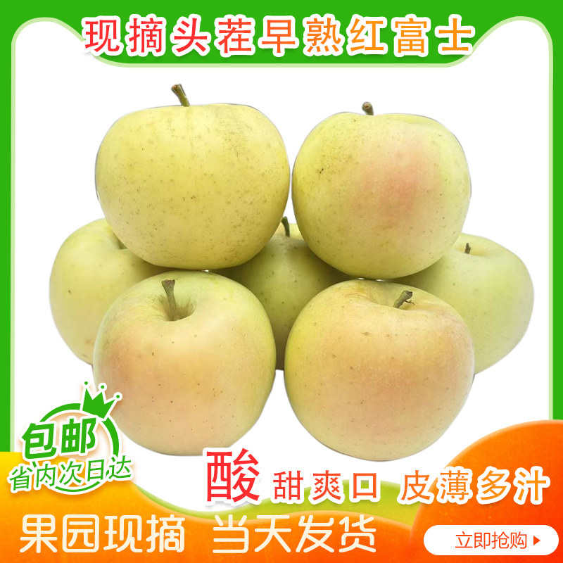 山东早熟红富士苹果当季现摘现发