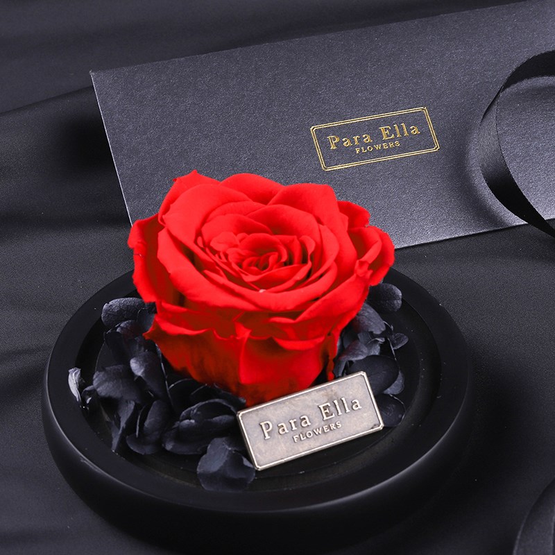 Para EllaÓÀÉú»¨ÀñºÐÓÀÉú»¨²£Á§ÕÖõ¹å»¨½Ìʦ½ÚÀñÎ￵ÄËܰÉúÈÕ