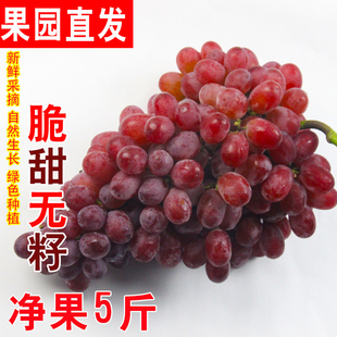 克伦生葡萄新鲜新疆无籽红提小蜜蜂红宝石脆甜无核整箱 顺丰 包邮