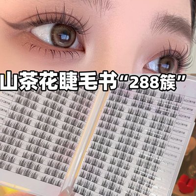 一盒顶6盒！大容量山茶花睫毛书