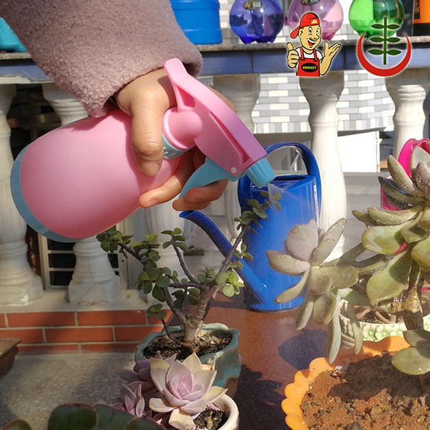 糖果色塑料小型浇花壶喷雾器