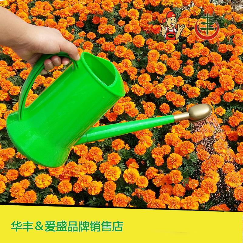 华丰长尖嘴洒水壶塑料家用园艺淋花工具浇水器浇花壶喷水壶花洒壶