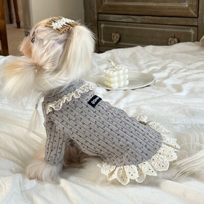 馨然小型犬针织衫蕾丝吊带裙韩系