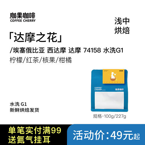 咖果·埃塞俄比亚西达摩之花74158水洗G1浅中烘焙手冲精品咖啡豆