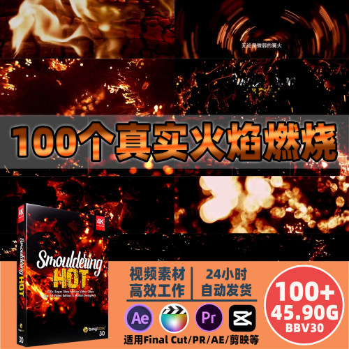 100种真实燃烧火苗火堆烈焰视频特效 影视广告游戏CG必备AE/PR