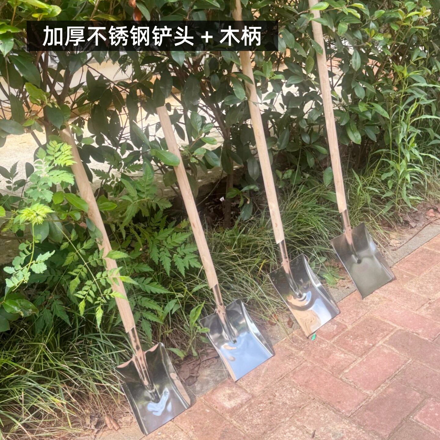 家用园艺铲子钢锹挖土小铁锹户外狗屎铲煤垃圾加厚平头不锈钢铲头