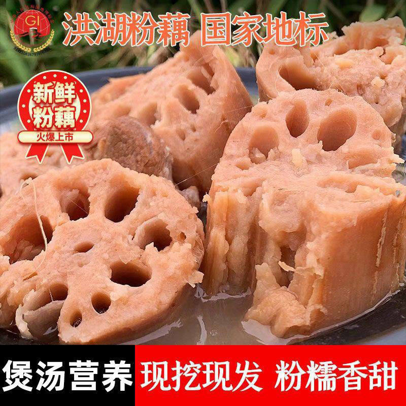 正宗洪湖粉藕煲汤莲藕新鲜现挖湖北特产炖汤九孔桂花糯米红糖藕