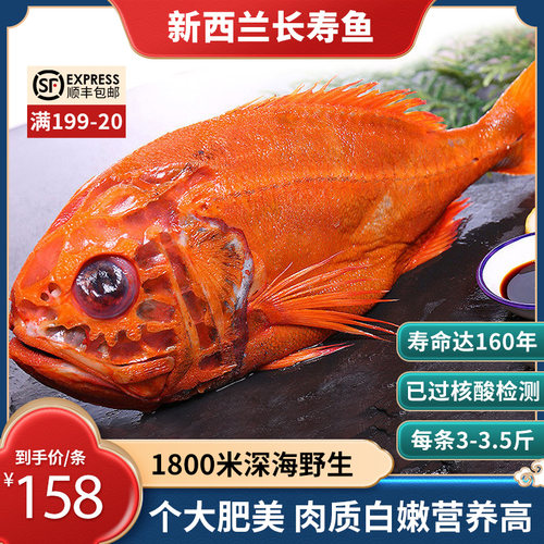 新西兰长寿鱼3-3.5新鲜