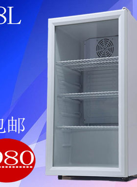捷盛98升冷藏展示柜小型商用