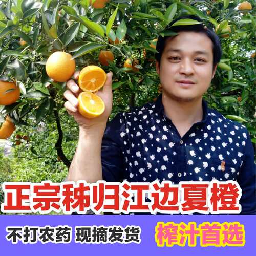 正宗秭归夏橙孕妇新鲜水果现摘农家橙子手剥榨汁脐橙带箱10斤包邮