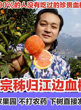 秭归中华红血橙新鲜水果当季整箱10斤包邮红心橙子宜昌雪橙手剥橙