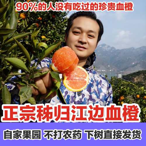秭归中华红血橙新鲜水果当季整箱10斤包邮红心橙子宜昌雪橙手剥橙