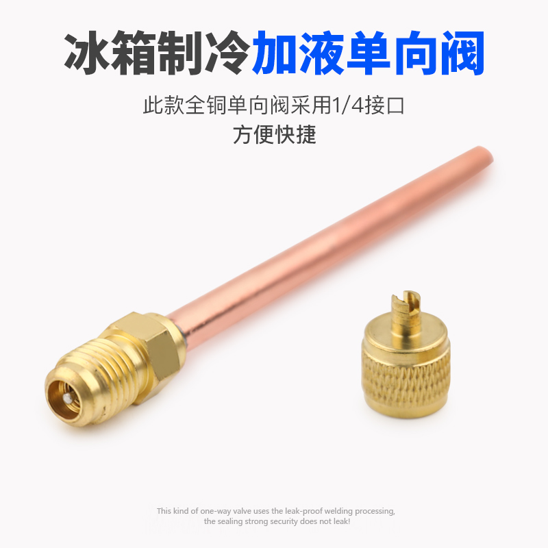 过滤器干燥冰柜加液单向阀快速