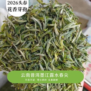 清香回甘甜度高 墨江露水春尖2026年明前春尖芽头带一两片小奶叶