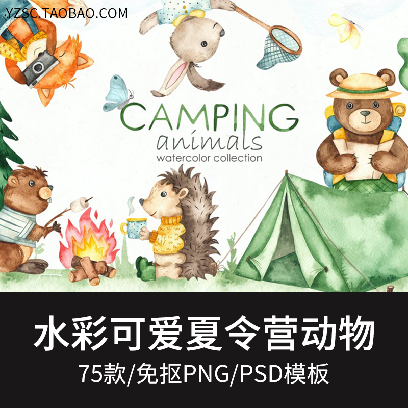 水彩手绘卡通可爱夏令营动物植物刺猬熊免抠png海报
